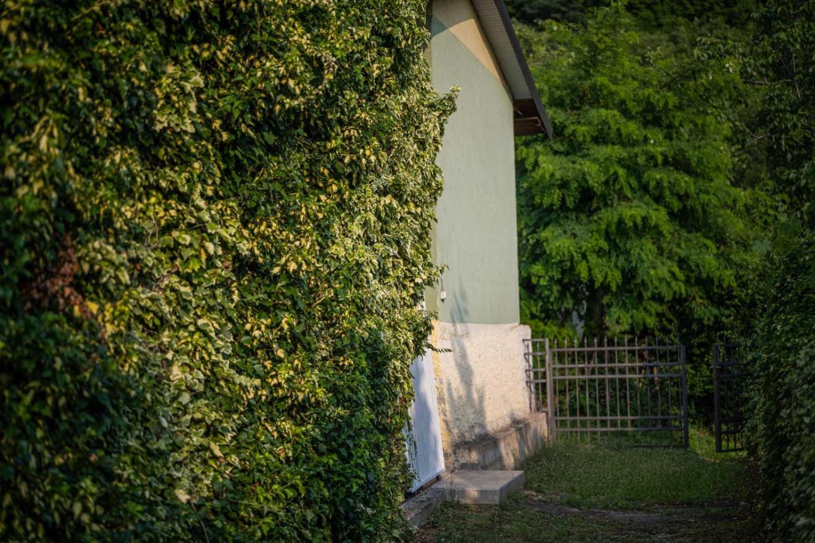 Vacation Home Rot オフリド エクステリア 写真