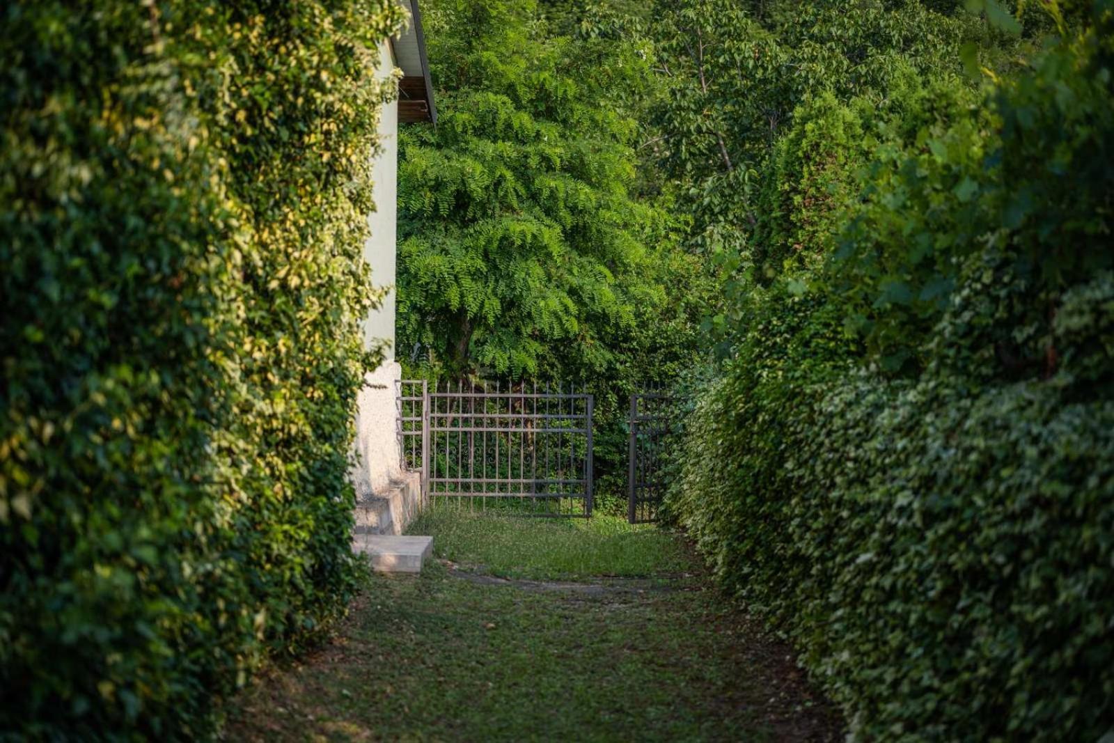 Vacation Home Rot オフリド エクステリア 写真